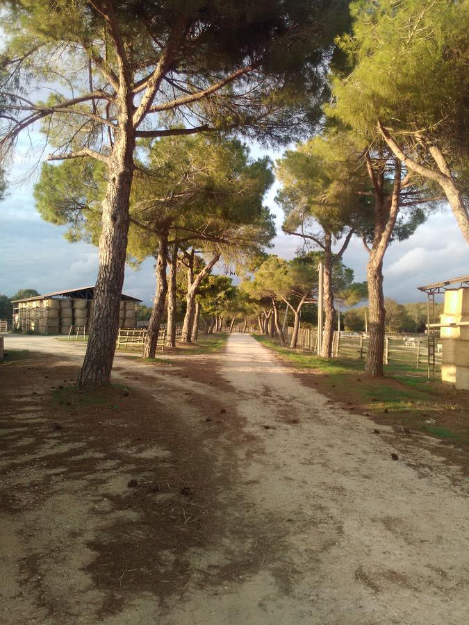 Biocampus La Roccaccia - Universita' Agraria Di 塔尔奎尼亚 外观 照片