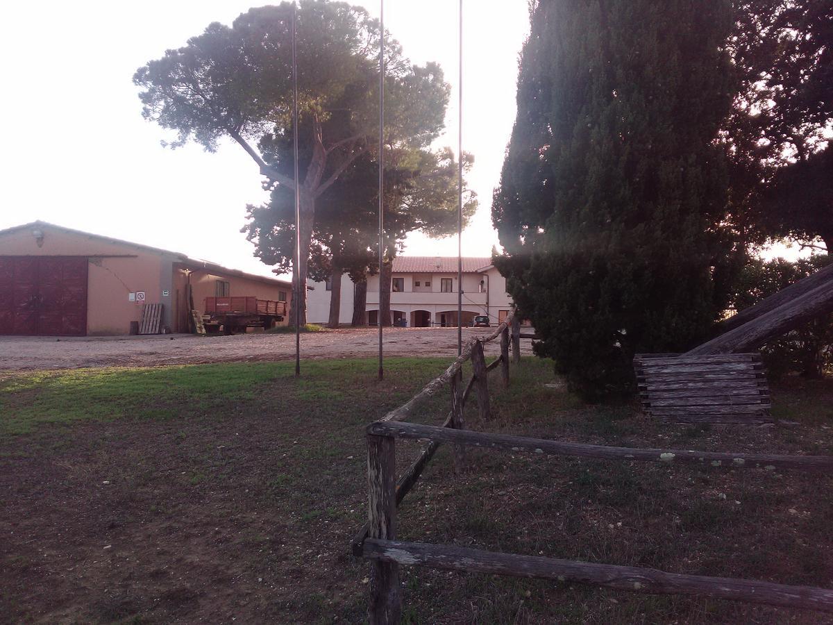 Biocampus La Roccaccia - Universita' Agraria Di 塔尔奎尼亚 外观 照片