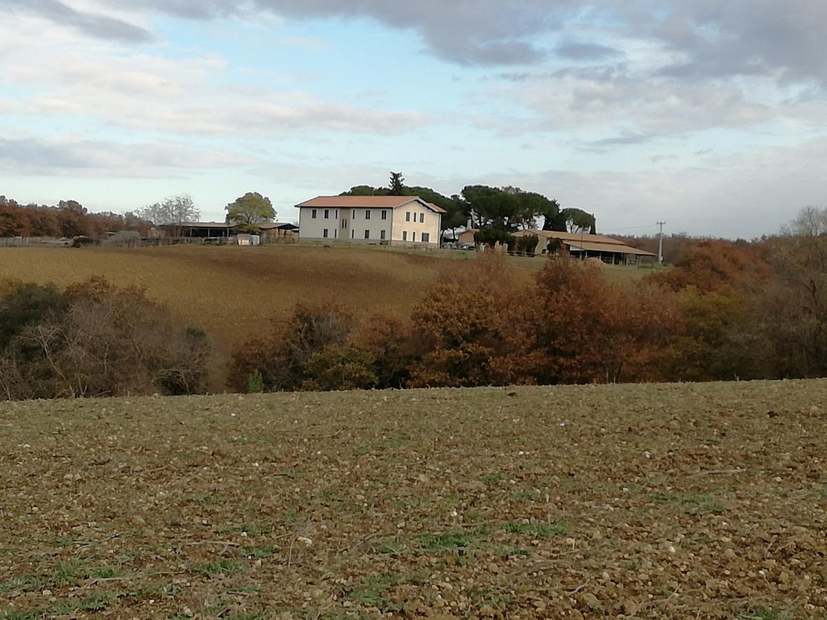 Biocampus La Roccaccia - Universita' Agraria Di 塔尔奎尼亚 外观 照片