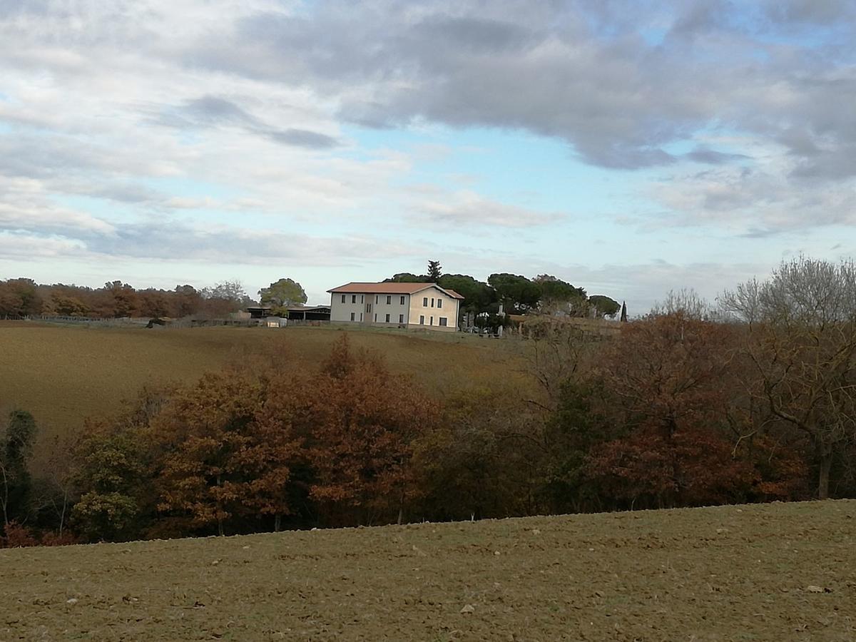 Biocampus La Roccaccia - Universita' Agraria Di 塔尔奎尼亚 外观 照片